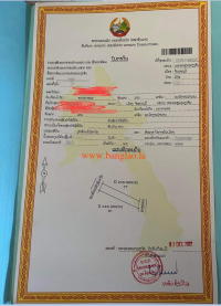T00299